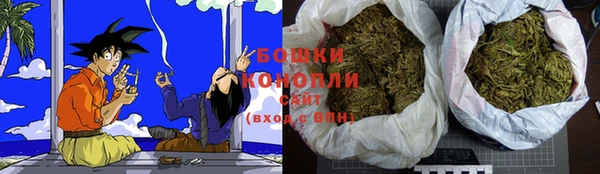 прущие грибы Вяземский