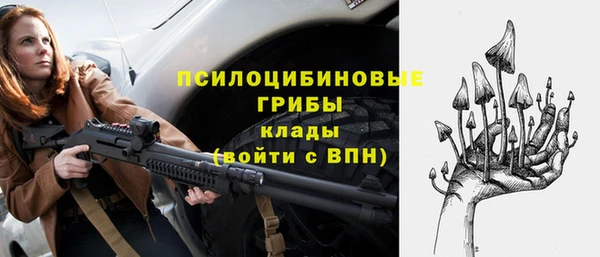 прущие грибы Вяземский