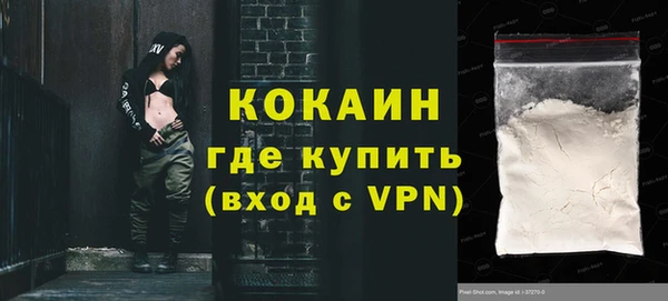прущие грибы Вяземский