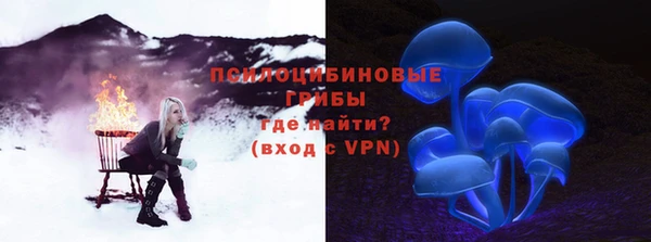 прущие грибы Вяземский