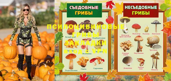 прущие грибы Вяземский