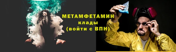 прущие грибы Вяземский