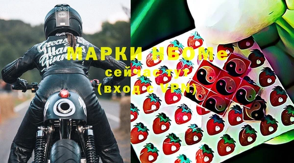 прущие грибы Вяземский