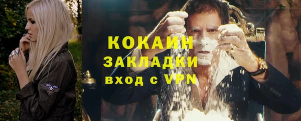 прущие грибы Вяземский