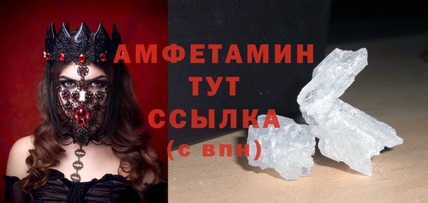 прущие грибы Вяземский